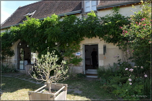 P1204835
