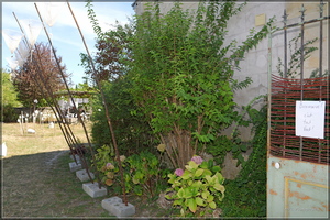 P1204843