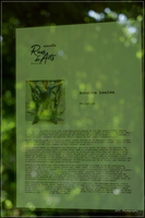 P1204858