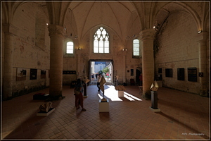 P1194728