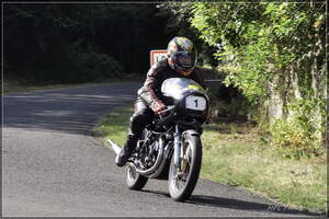 PANA2975 cr