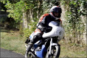 PANA2979 cr
