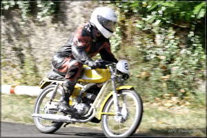 PANA2981 cr