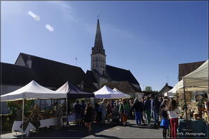 P1647990
