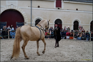 P1341026