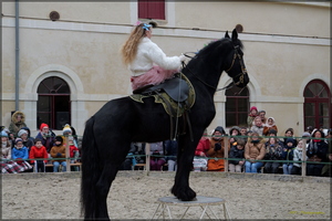 P1341067