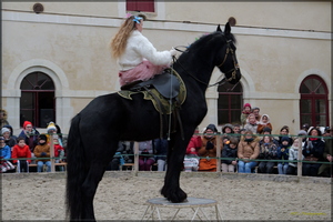 P1341068