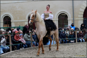 P1341075
