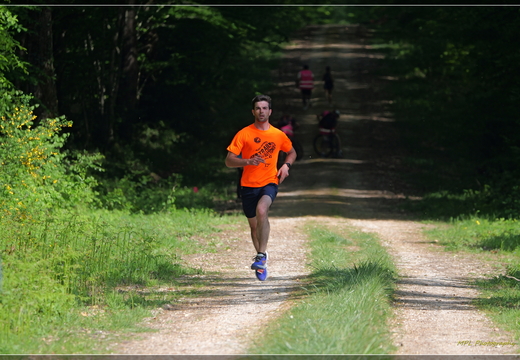 La Course Forest - Genillé le 18 avril 2026